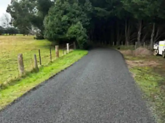 Newly sealed driveway curving through a line of mature trees